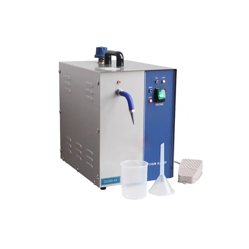 2L Steam Cleaning M… - image