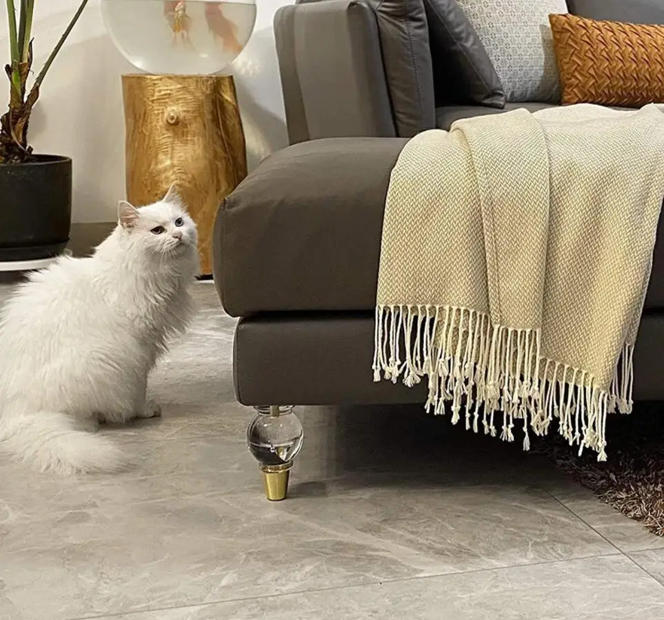 Acrlic Transparency Crystal Color Ball Shape Art Sofa Leg 75*130mm 4 pezzi