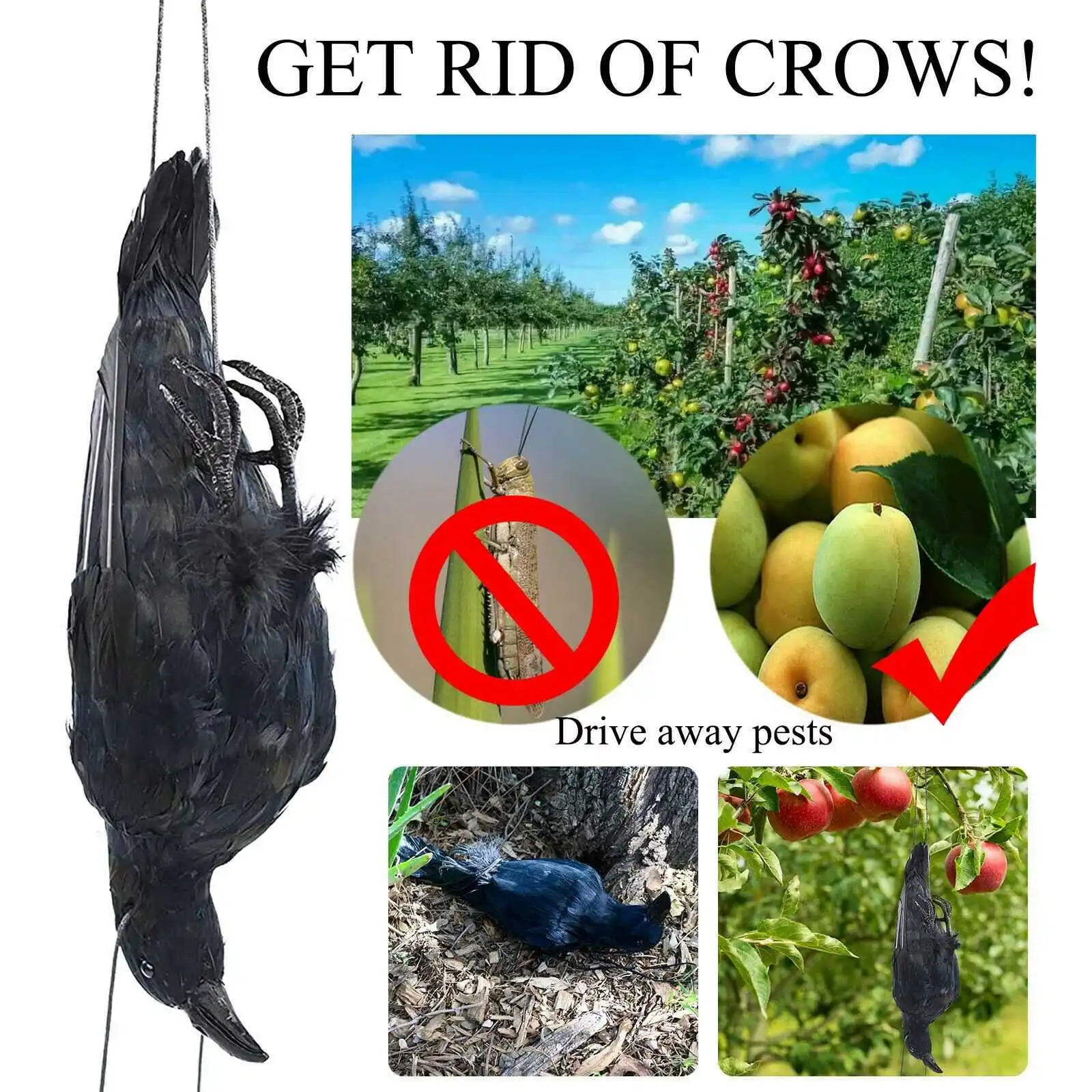 Realistico Hanging Dead Crow Decoy Lifesize Extra Large Black piumed Crow