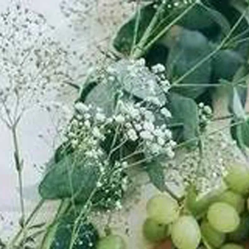 

Промышленная пневматическая машина для количественного розлива пастообразных продуктов (мёд, арахисовая паста, томатный соус, крем) 220В/110В