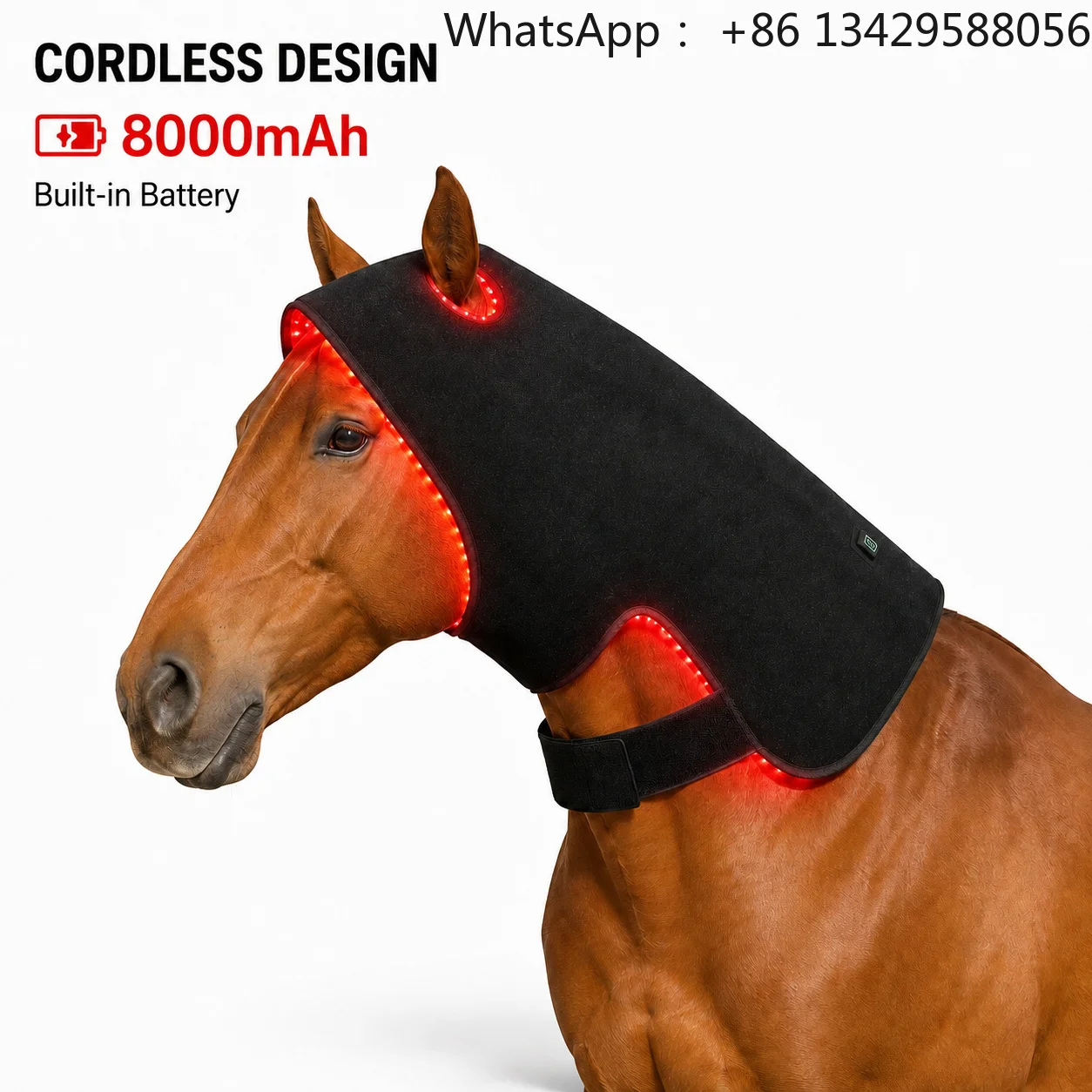 Equine Red Light Therapy Horse Head Poll Cap 660nm 850nm Infrared Red Light Therapy for Horses