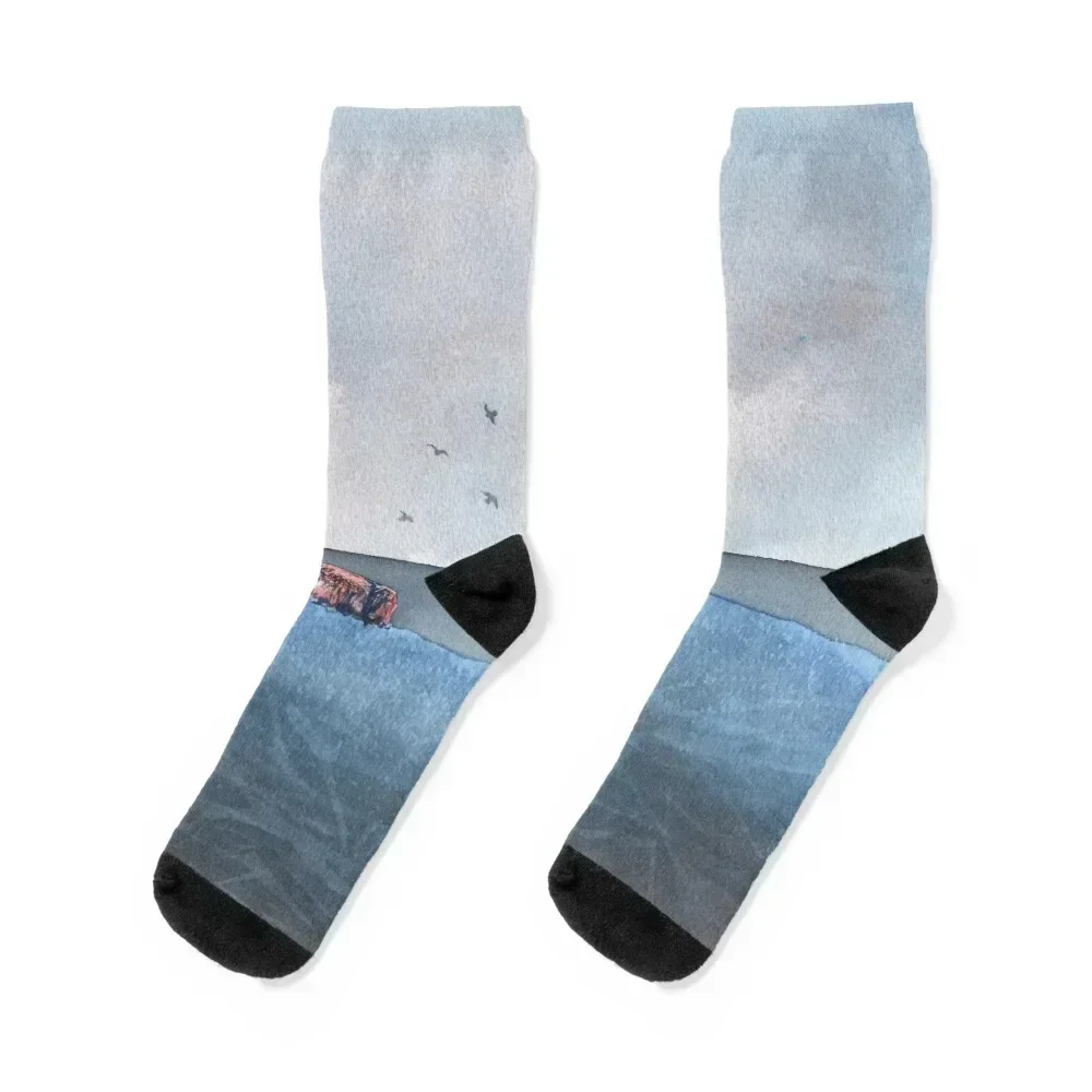 

Bass Rock, November 2018 Socks anti slip football halloween set winter Men Socks Women's