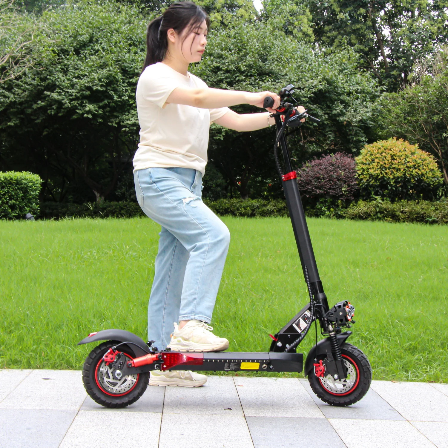 800W Portable Electrice Scooter with Seat, 10"Off-Road Vacuum Tire, 30 Miles Range,Foldable E-Scooter