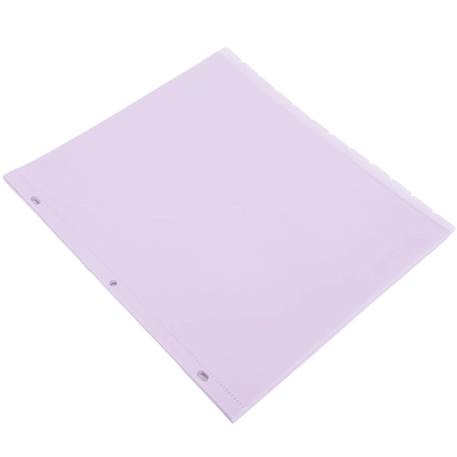 

12 Pcs File Holder Document Organizer Binder Pockets PP Material Daily Use Budget Portable School Work Plastic Dividers Pocket