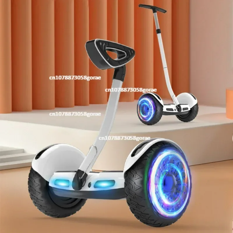 8/10 Inch 36/54v Kids Adult Handle Leg Bar Scooter 2 Wheel Stand Up Self Balancing Custom