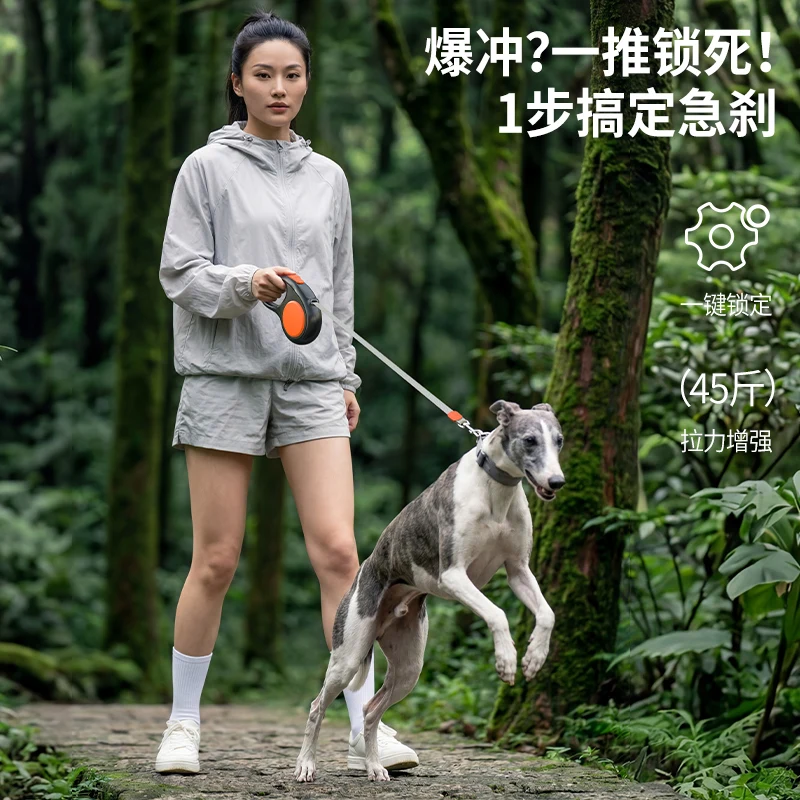 Automatic Retractable Nylon Dog Leash, Lead and Traction Rope for Small Dogs, Cat and Puppy, Outdoor Travel, Walking and Hiking