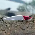 Fishlure-13