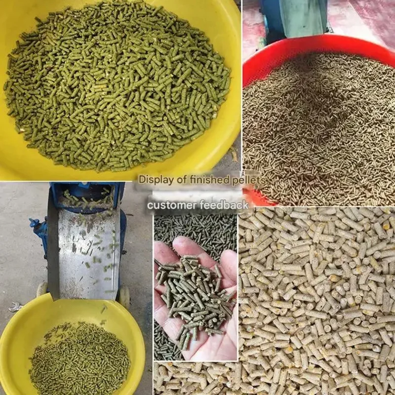 

Professional Pellet Making Machine For Chicken Fish Livestock Animal Feed Pelletizer