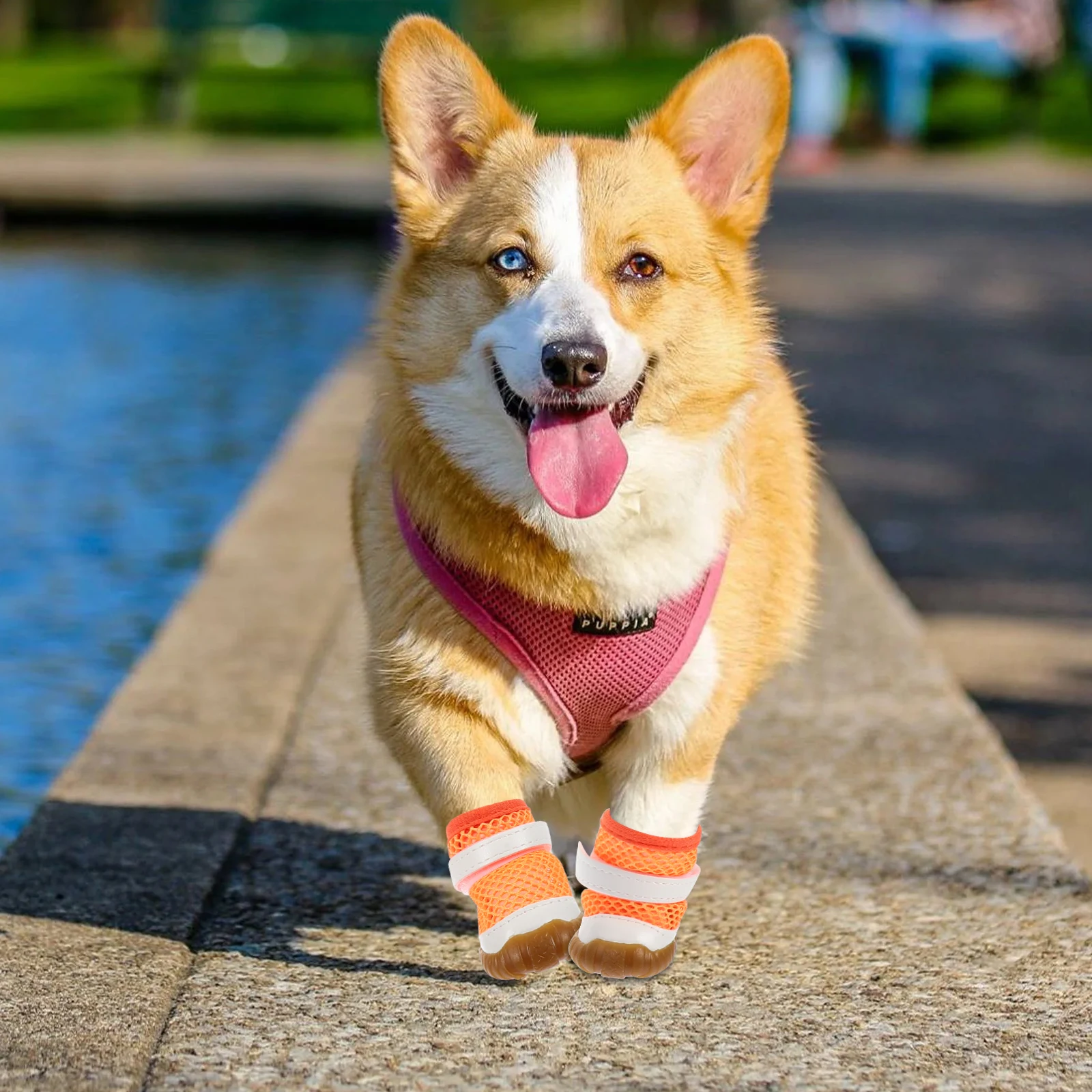 

Hot Pavement Dog Boots Shoes Breathable Non Slip Pet Booties Orange for Small Dogs