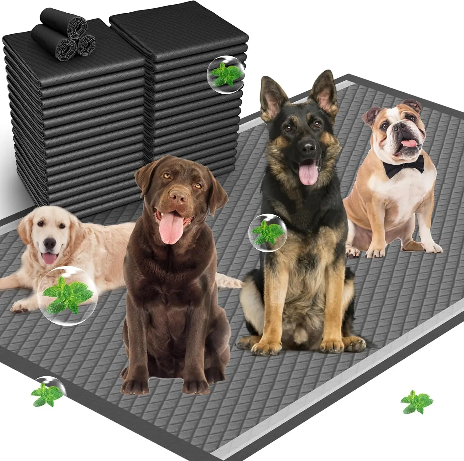 

31"x47" Activated Charcoal Dog Pee Pads - 200 Count,Extra Large,Super Absorbent, Leakproof, Long-Lasting Odor Control, Ideal for