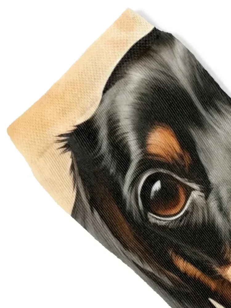 Kimono Dachshund Portrait Wiener Dog Art Socks soccer anti-slip Run cycling winter thermal Socks For Men Women's