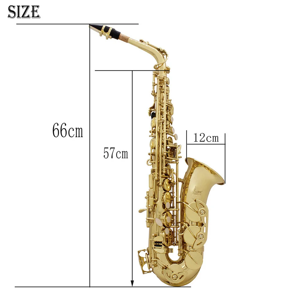 

Высококачественный альт-саксофон в белом корпусе из латуни E-flat для осмотра взрослых альт-саксофон