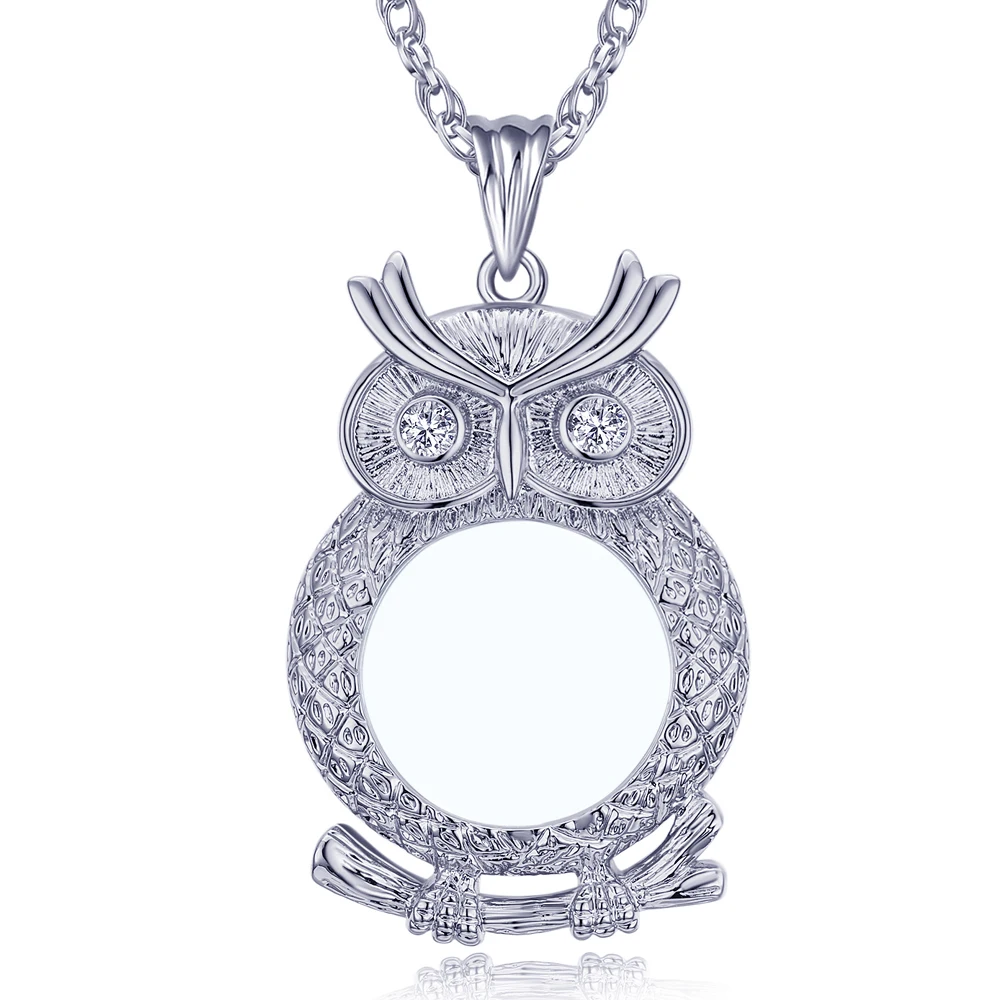 Reading glasses Long chain Magnifying glass pingentes Owl pendant crystal Magnifier necklace A gift to grandpa and grandma