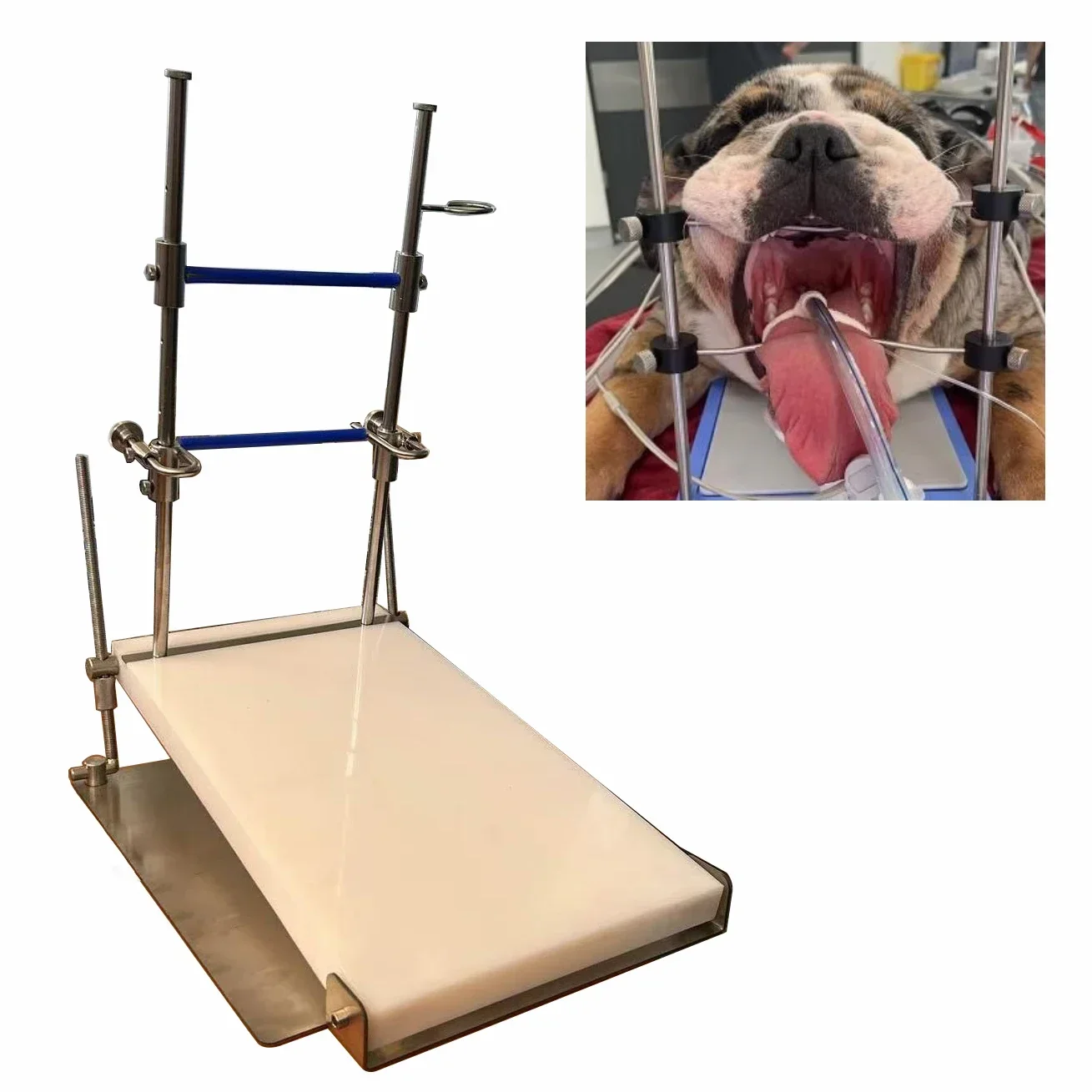Mesa veterinaria, instrumento de apertura auxiliar de precisión, roedores, clínica hospitalaria veterinaria, abridor de roedores