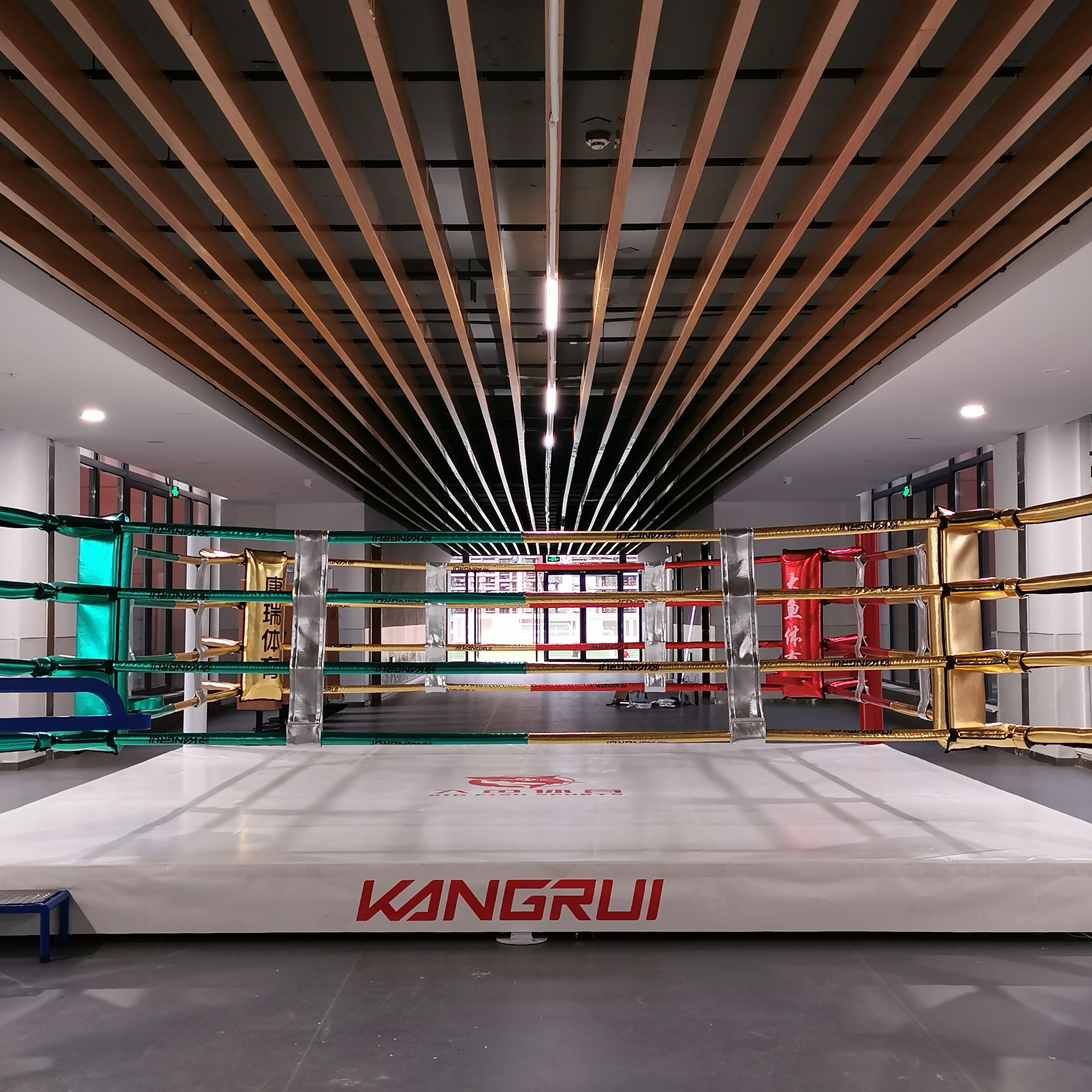 Hot Sale Boxing Cage Cheap Price MMA Ring Customized Wholesale Boxing Ring For Gym For Training Sports