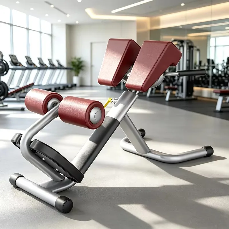 Factory Direct Sale High-Quality Gym Equipment Roman Chair Strength Training Commercial Roman Chair Machine
