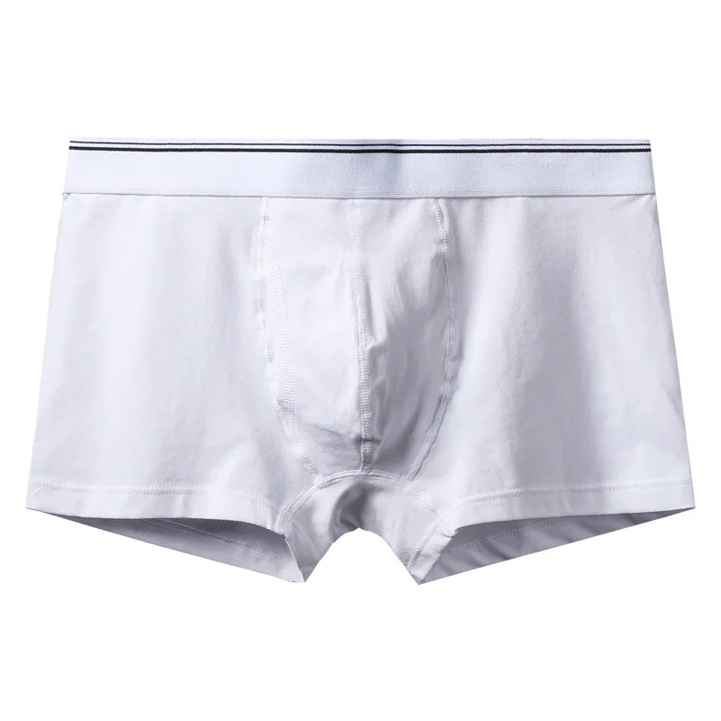 Boxer en coton bactériostatique pour homme, sous-vêtements blancs en option, 4 pièces