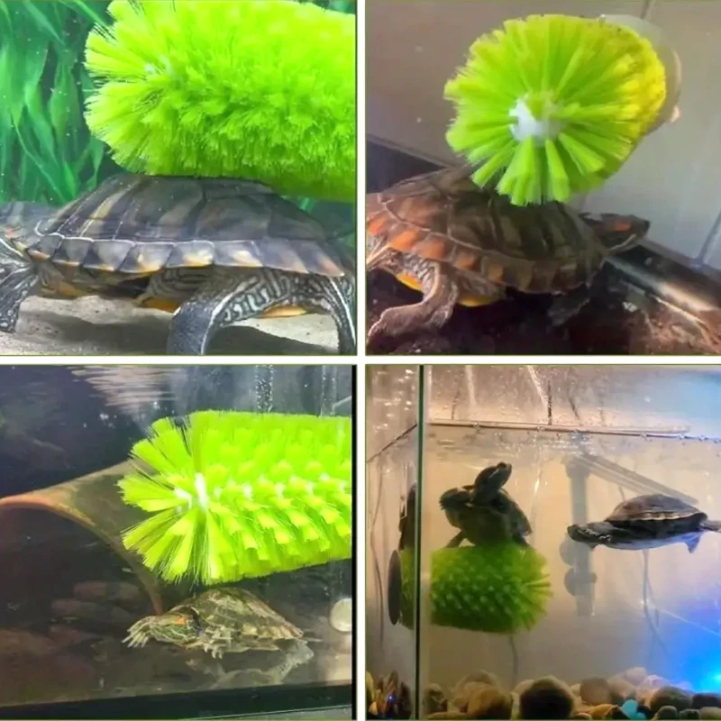 

Amphibian Friendly Turtle Back Scrub Brush PVC Suction Cup Exfoliation Tool for Removing Shell Scutes and Promoting Shell Health