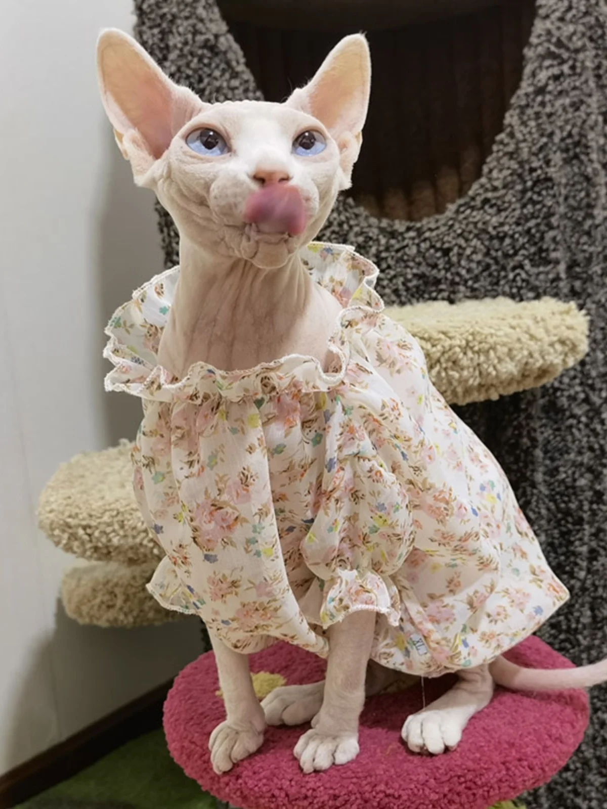 Chiffon Floral Dress for Sphynx Summer Sun Protection Shirt for Devon Rex Lightweight Breathable Cool Fabric Coat for Kittens