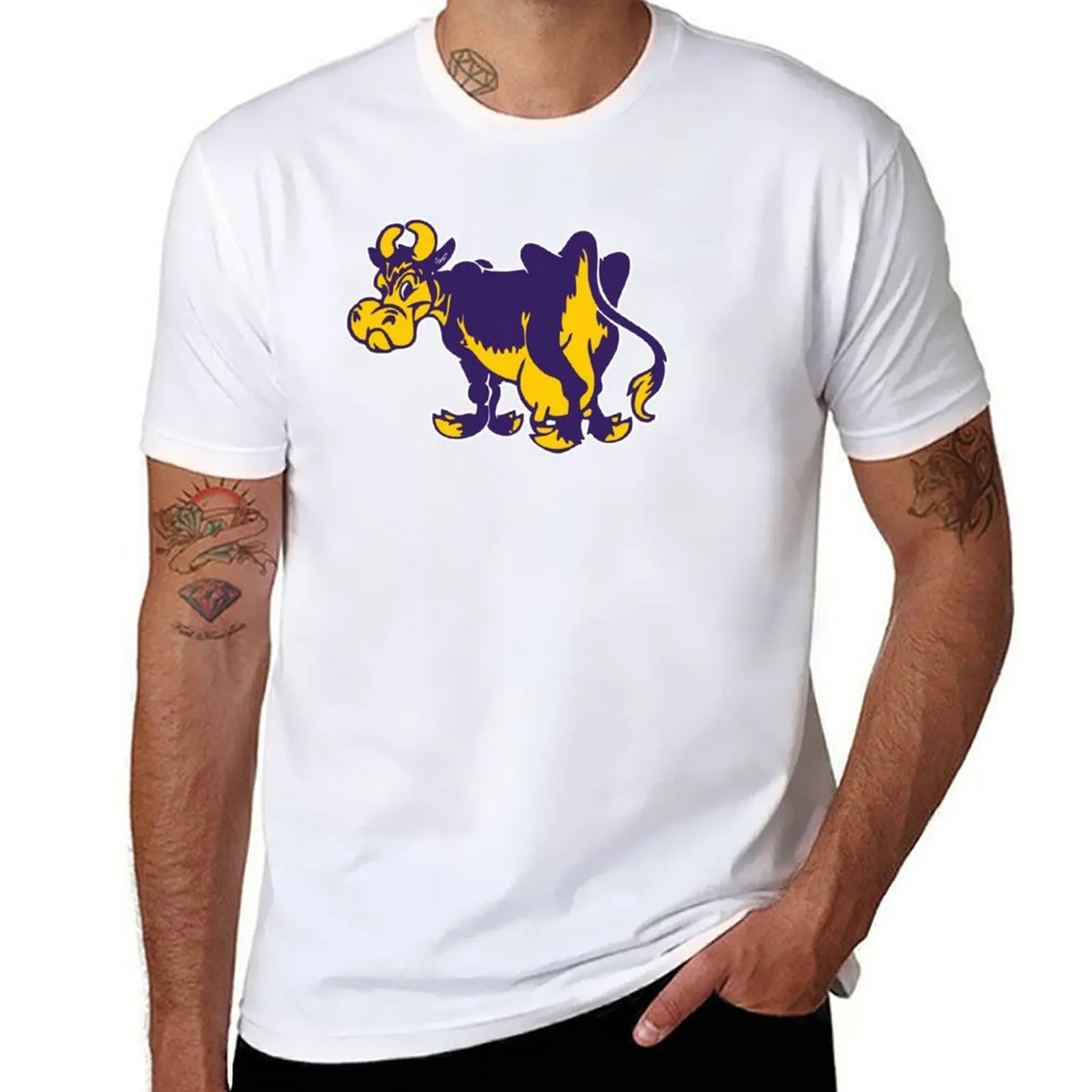 Williams College ephs T-Shirt Basic Comfort Fit T-Shirt for Men