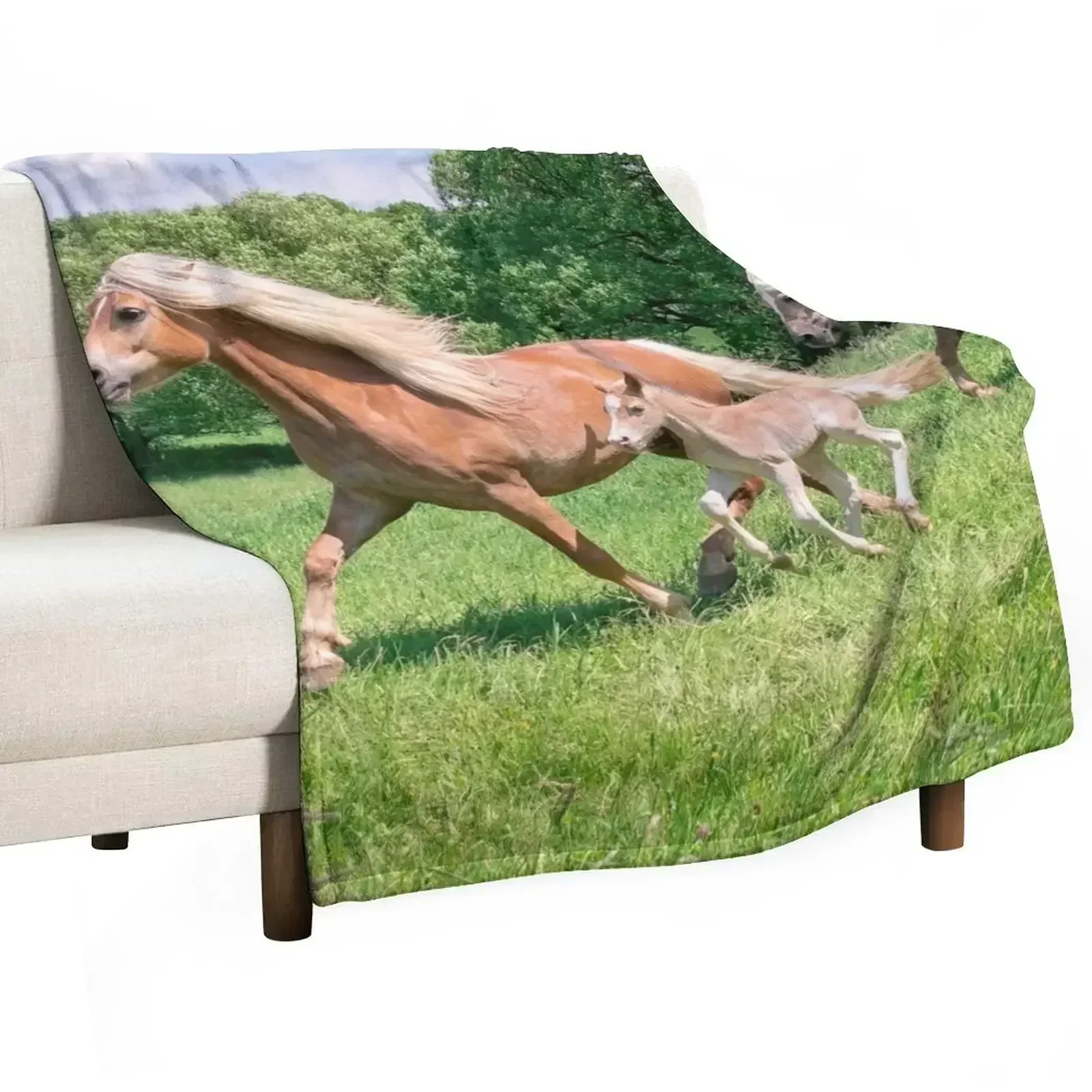 Haflinger horses run together Throw Blanket Thermal Bed Fashionable Blankets