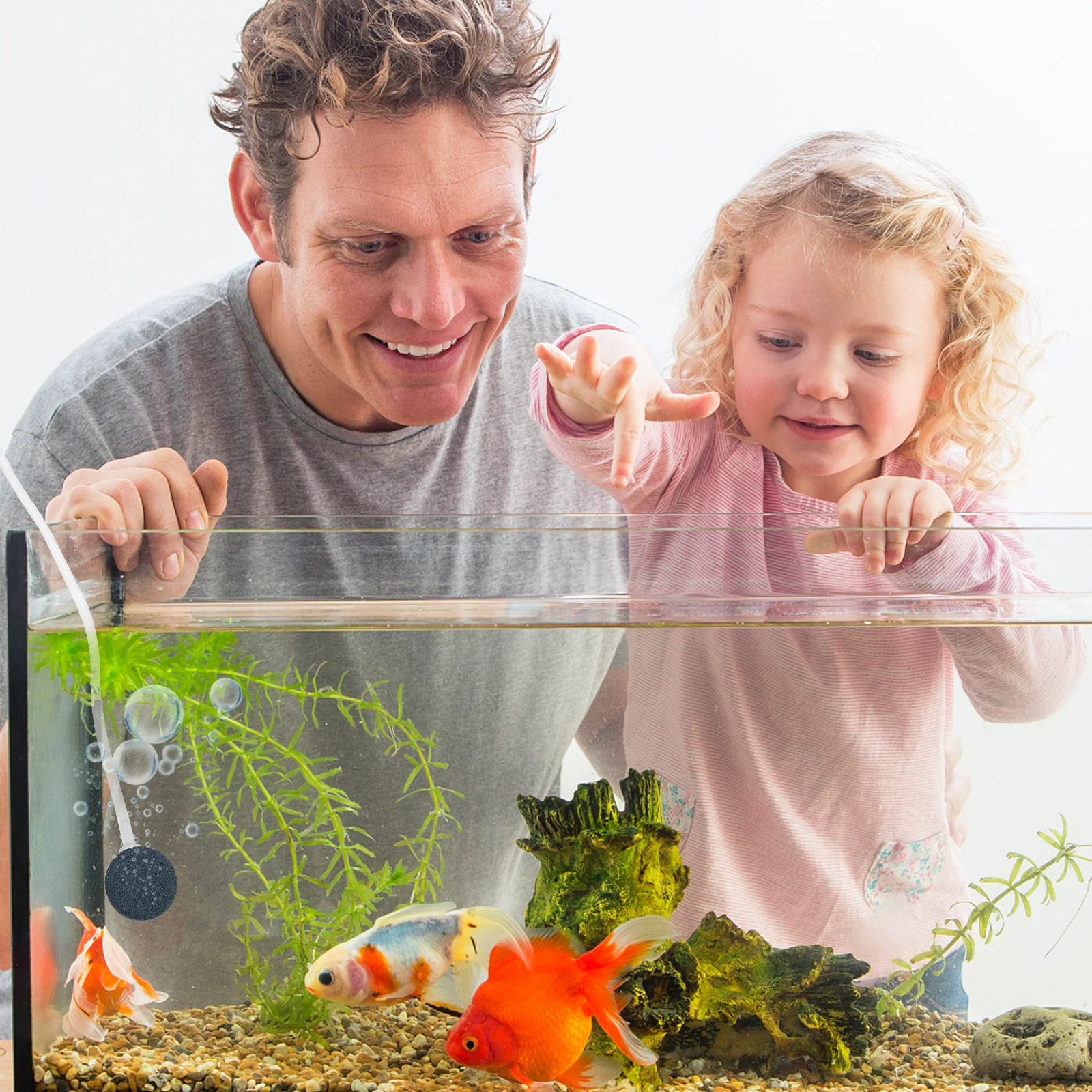 

1Set Solar Oxygen Pump Floating Solar Panel Hydroponic Pool Fish Tank Oxygen Aerator Quiet Operation Fish Tank Oxygenator