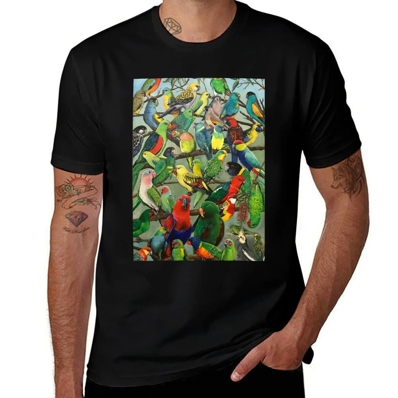 Australian Parakeets T-Shirt Minimalist Graphic Tee Shirt T-Shirt