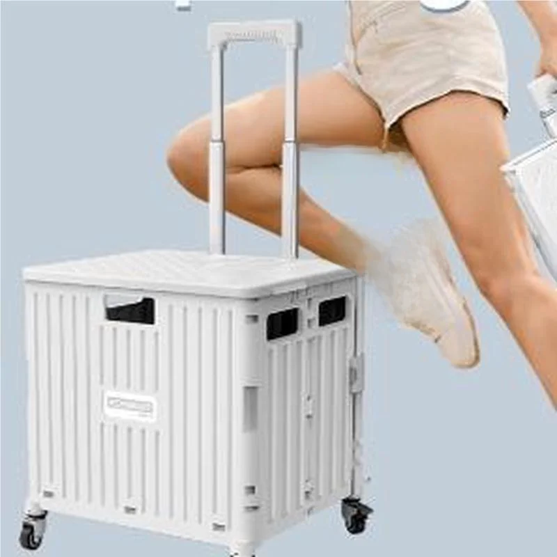 

Outdoor Cam Storage Box with Pull Rod Hand Pull Cart Wheel Slide under Bed Closet Organizer Plastic Storage Box for Home