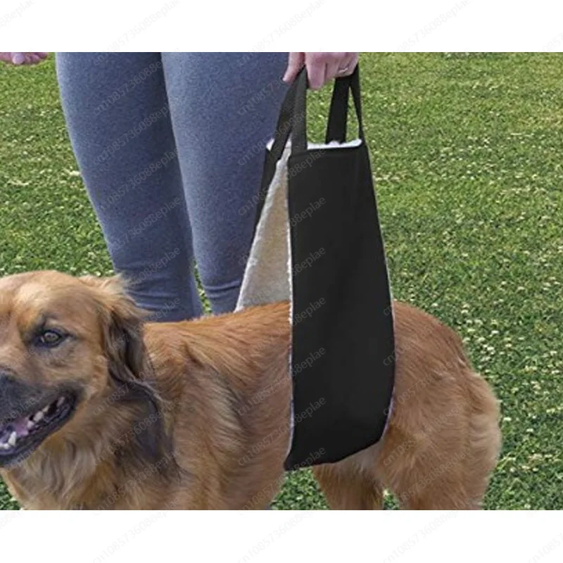 Weak hind legs Canine auxiliary strap Rehabilitation dog rear chest strap
