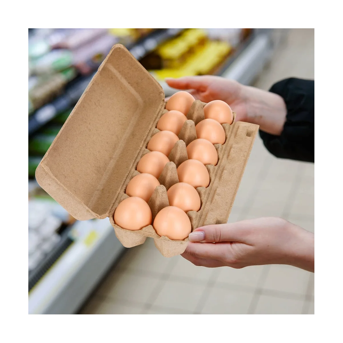 Caixas De Ovos De Polpa De Papel Em Branco, Bandeja De Ovo Vazia, Suporte, Recipiente De Papelão, Uma Dúzia, 20Pcs