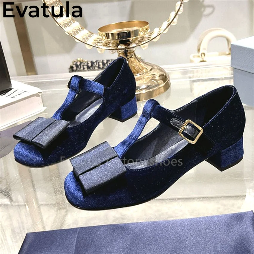 Velvet Round Toe Shallow Mouth Chunky Heels Shoes Women Fashionable Mary Jane Low Heel Shoes Summer Dance Party Shoes Woman