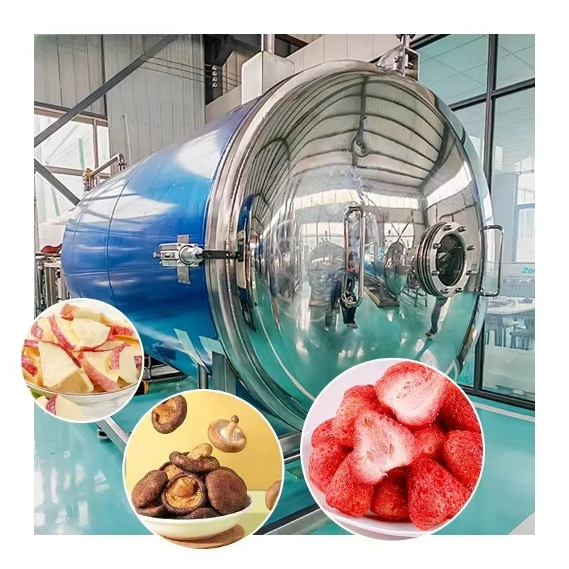 Customized Lyophilizer Freeze Meat Fish Meat  200kg Vegetable Fruit Milk Dairy Pet Food  Dryer Drying Machine