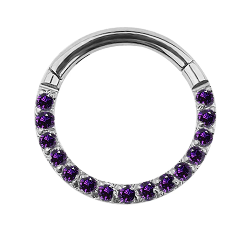 G23 Titanium Hinged Segment Hoop Nose Ring Earring