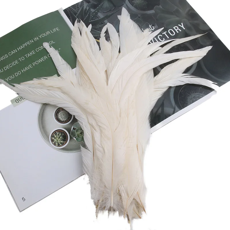 500PCS/Lot 20-25CM Raw White Natural Rooster Cock Tails Feathers Ckicken Plumes For Crafts Making Carnival Headwear Decorations