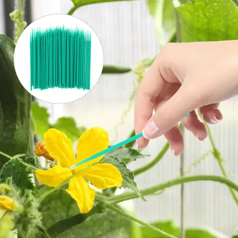 자세히 둘러보기 200pcs 식물 야채 과일 꽃 다육 식물을위한 수동 수정을위한 조종자 분필 노란색 브러시 정원 마당 도구 삽