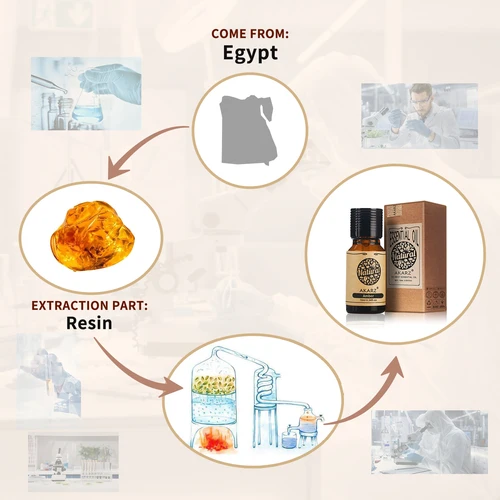 Imagen 2 del producto Aceite Esencial Amber – Versátil para Velas, Jabones y Aromaterapia aceite aromático difusor aceites esenciales