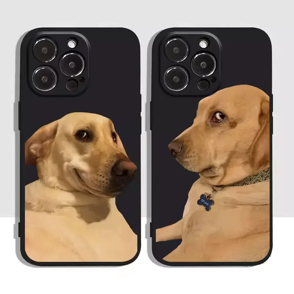 Funny Cat Pet Dog Couples Phone Case for IPhone 11 12 13 14 15 16 Pro MAX SE2 X XS MAX 7 8 Plus Soft Silicone Back Covers Fundas