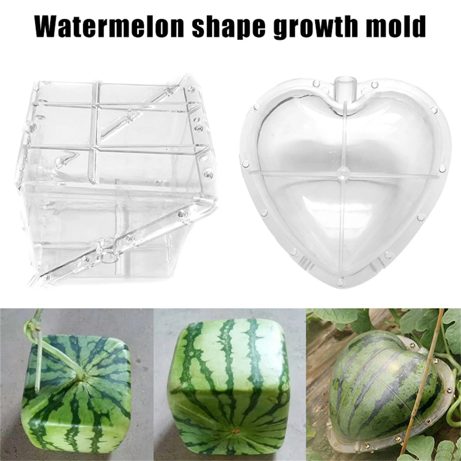 

Watermelon Shaping Grow Mold Square Heart Shape Safe Mould for Garden Greenhouse Accessories