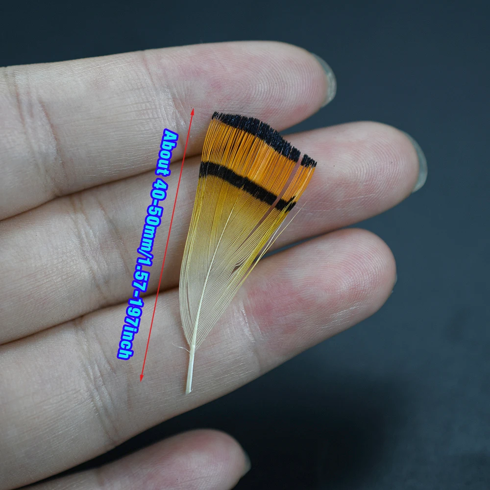 MNFT 50Pcs Natural Golden Pheasant Head Crest &rump Body Feathers assorted Wings& Tail Tying Materials Fly Fishing