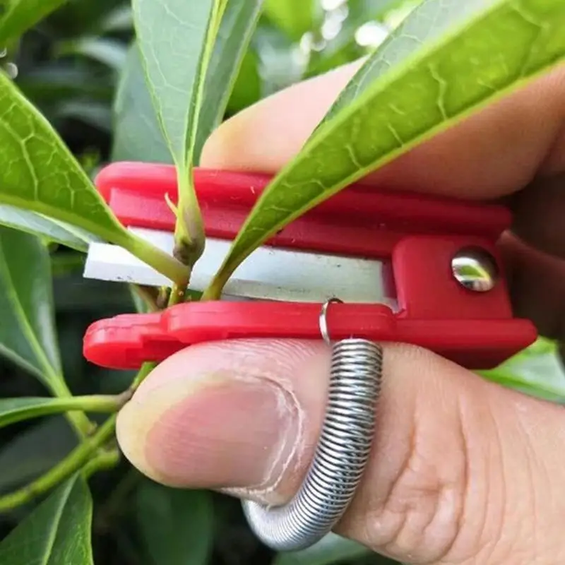 Podadora de pulgar para jardinería, cuchillo de pulgar para recoger frutas y verduras, jardín