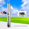 DC 1.5HP 브러시리스 깊은 우물 펌프, 농업 관개, 태양열 물 펌프, SS304 임펠러, 최대 헤드 132m, 최대 유량 6 T/H 모델 5