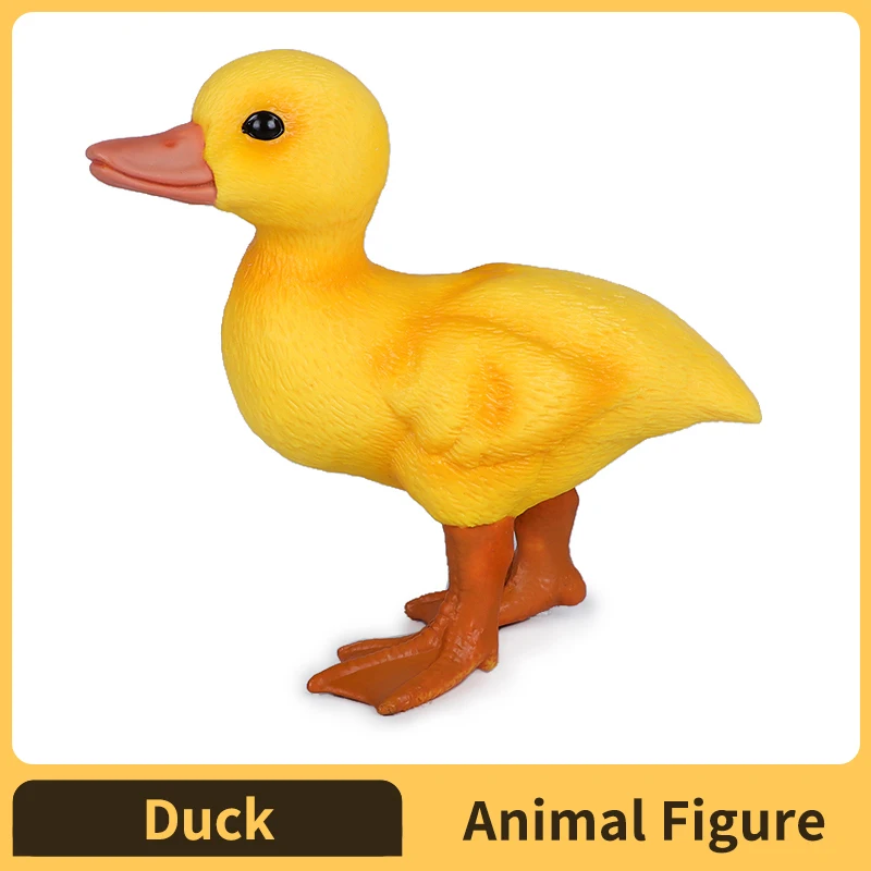 

Duckling Figurine - Detailed 4.5" Plastic Model Figure - Fun Educational Play Toy for Boys, Girls & Kids