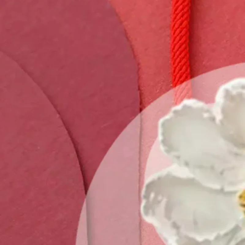 حسن الحظ سوار حبل مضفر كوي سوار سلسلة حمراء هدية عيد الحب زوجين هدية #1