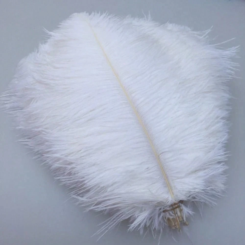 

White Ostrich Feather 6-8inch Natural Feathers Plumes for DIY Costume Dress Making Home Decor Gatsby Party Decorations