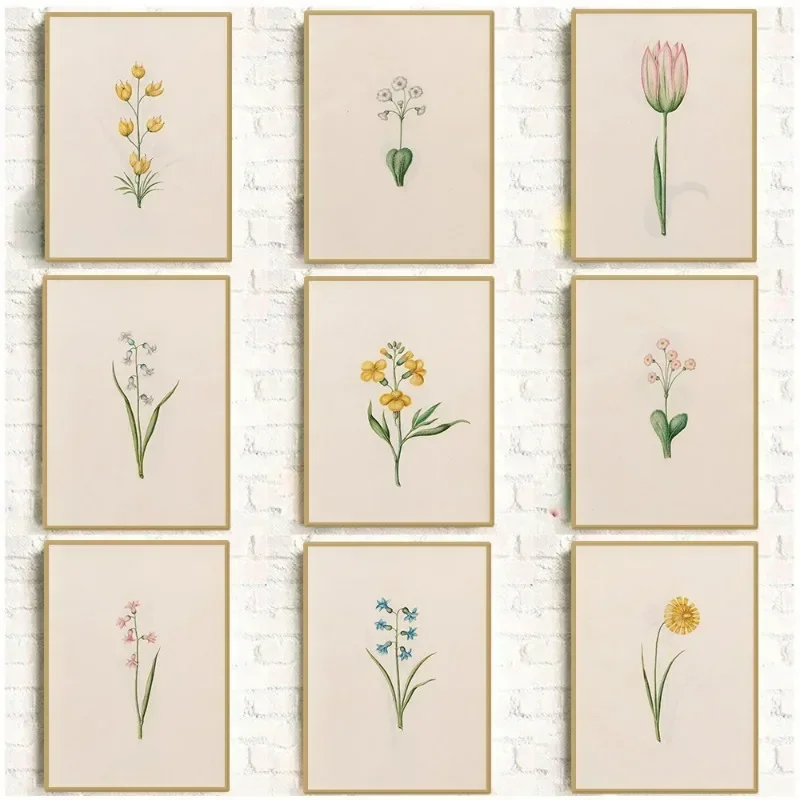 （2D Canvas painting） Vintage Spring Floral Plant Illustration Poster Colourful Wildflower Botanical Canvas Painting Wall Art