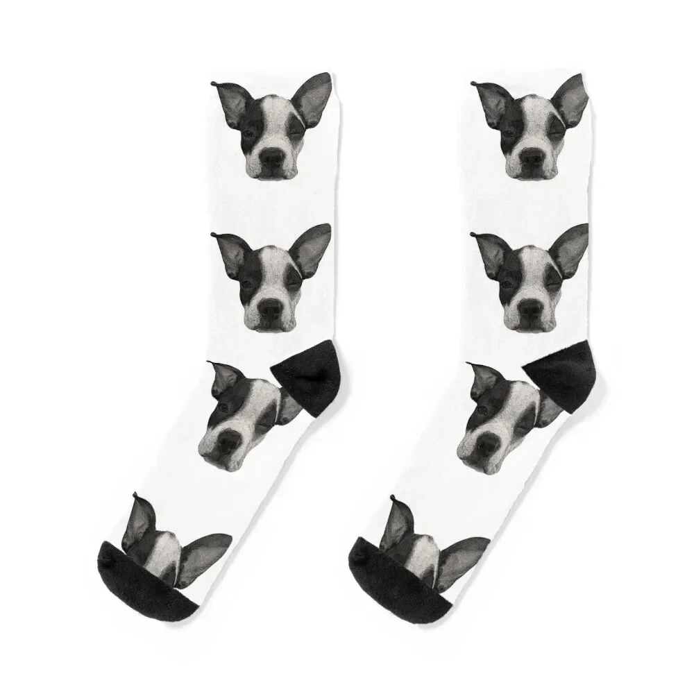 Winking Boston Terrier Socks sports stockings Argentina bright garter Luxury Woman Socks Men's