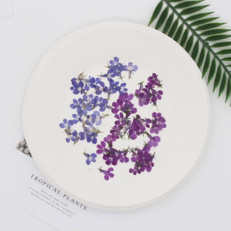Nature Real Touch Flower Petals,Pressed Lobelia for DIY Candles Craft Bookmark Gift Card,Flores Secas Facial Decor,1.5cm/20pcs