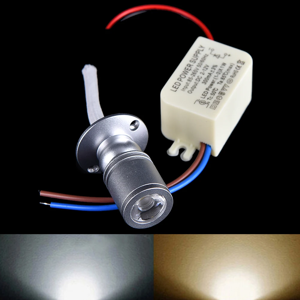 1W Led Recessed Cabinet Mini Spot Light 110V 220v Downlight 12v Dc Jewelry Show Include Led Driver 6000K Ceiling Light Lamp