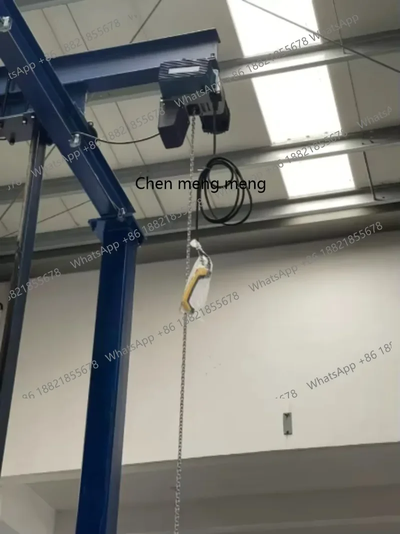 New arrive D2 Variable Frequency Chain Hoist Smart Balance Electric Lifting Machine