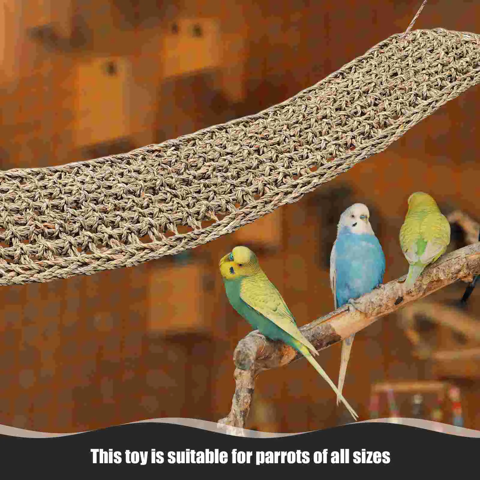 Swing Parrot Hammock Bird Toys with Seagrass Perch Climbing Net Suitable for Lizards Accessories